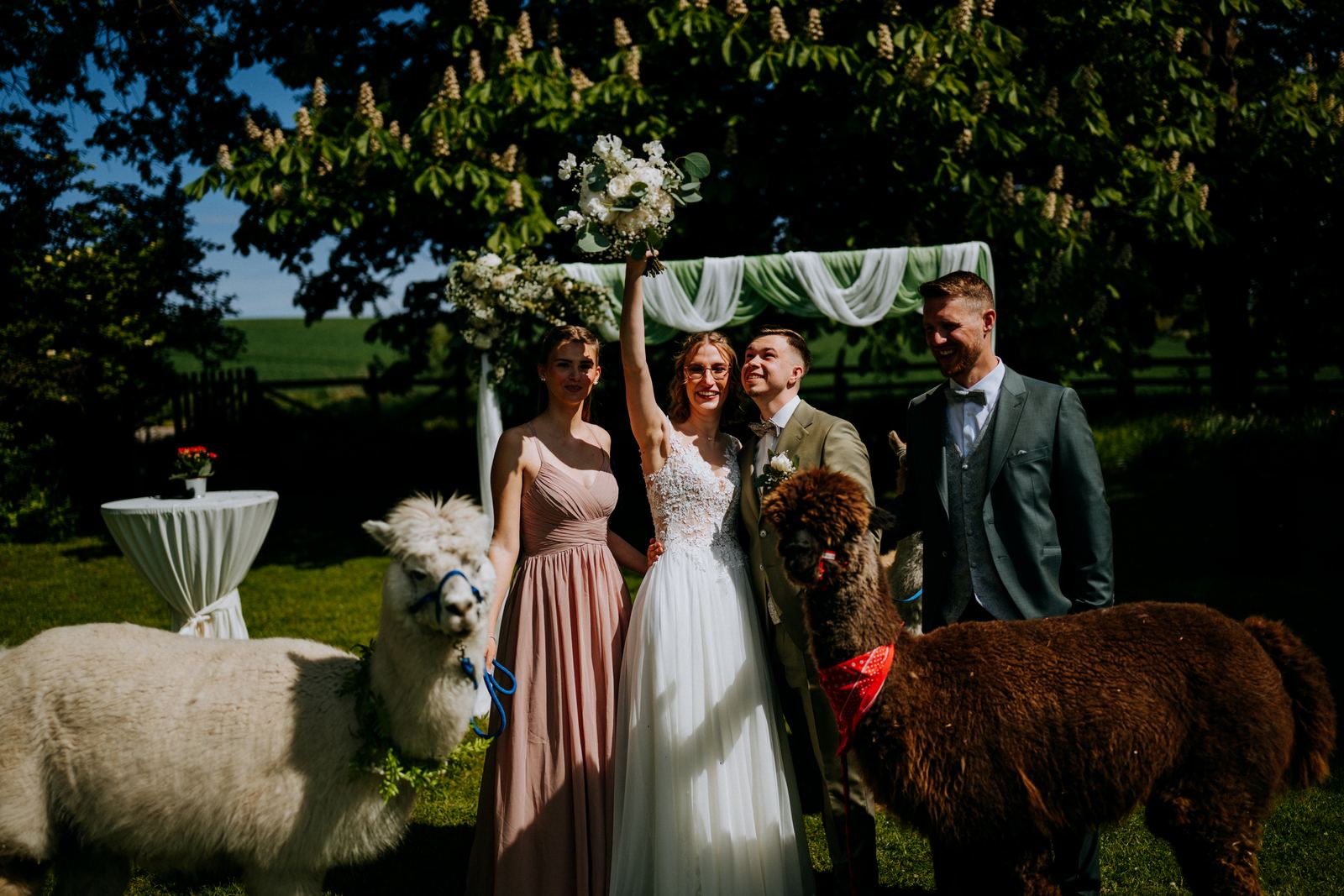 Lena und Christian mit Trauzeugen und zwei Alpakas vor dem Traubogen
